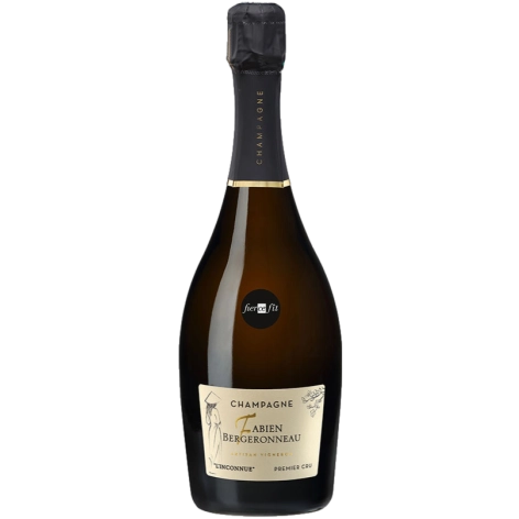Шампанское FABIEN BERGERONNEAU L'Inconnue Blanc de Blancs Brut 2020 750 мл 12%
