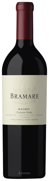 Вино Vina Cobos Bramare Chañares Estate Malbec 2017 750 мл