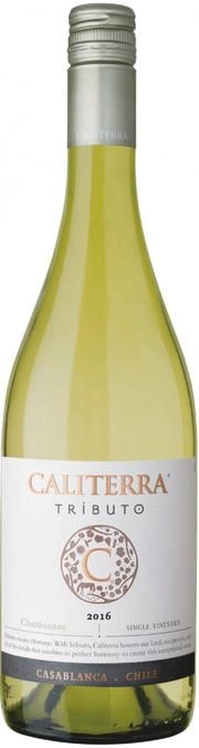 Вино Caliterra Tributo Chardonnay Casablanca Valley 2019 750 мл