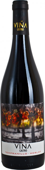 Вино Vina Castro  Tempranillo-Merlot  Винья Кастро  Темпранильо-Мерло  сухое красное 750 мл