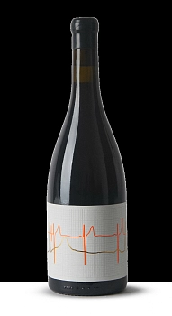 Вино Vina Zorzal  PUNTO DE FUGA CORRAL DEL MATE TINTO X MATIAS MICHELINI  2019 750 мл 1,5%