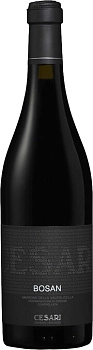 Вино Gerardo Cesari  Bosan  Amarone della Valpolicella Classico    DOC   2008 750 мл