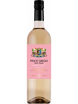 Вино Solarita Pinot Grigio Rosato delle Maule DO  750 мл