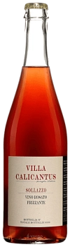 Игристое вино  Villa Calicantus Sollazzo Rosato Frizzante 2020   750 мл