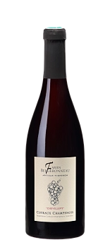 Шампанское FABIEN BERGERONNEAU Chevillevy Coteaux Champenois Rouge 2020 750 мл 12%