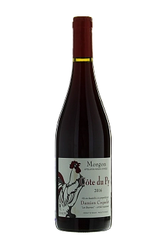 Вино Damien Coquelet Cote du Py Morgon AOC  2019  750 мл