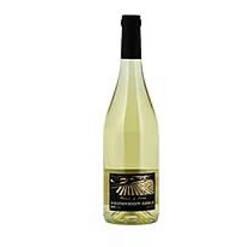 Вино Shimshon Gold White Golan Heights Galil Mountain Winery Шимшон Голд Уайт Голанские Высоты Галил Маунтин  кошерное   2019 750 мл