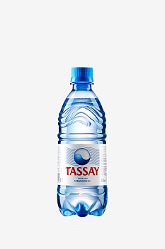 Вода  Тассай негазированная ПЭТ 500 мл