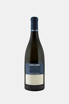 Вино Serafini & Vidotto Pinot Nero IGT Veneto  2022  750 мл