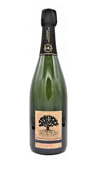 Шампанское GUILLAUME MARTEAUX  L'Indigene Extra Brut 2017 750ml 12.5%