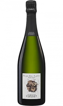 Игристое вино  Copinet Marie Nos Pas Dans La Pierre  750 мл
