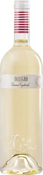 Вино Gianni Gagliardo  Fallegro Langhe DOC   2022  750 мл