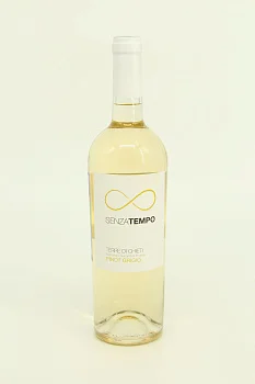 Вино Cantina Tollo Senza Tempo Pinot Grigio 2022 750 мл 12,5%