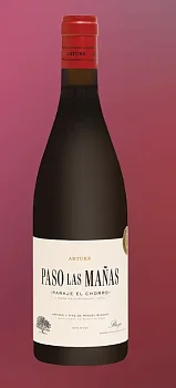 Вино Artuke Paso Las Manas 2022  750 мл 14%
