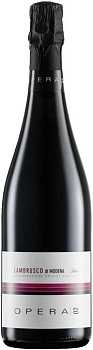 Игристое вино полусухое Ca’ Montanari Opera 02 Lambrusco di Modena   2021 750 мл