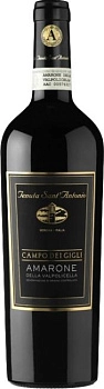 Вино Tenuta Sant'Antonio  Campo dei Gigli  Amarone della Valpolicella DOC  2015 750 мл
