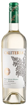 Вино Vina Caliterra  Sauvignon Blanc Reserva Curico Valley  Винья Калитерра Совиньон блан Ресерва Курико Вэлли 2016 750 мл