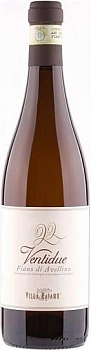 Вино Villa Raiano Ventidue Fiano di Avellino  2010 750 мл