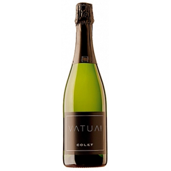 Игристое вино Colet Vatua Extra Brut Cava Penedès  2019 750 мл