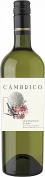 Вино Cambrico Sauvignon Blanc  750 мл