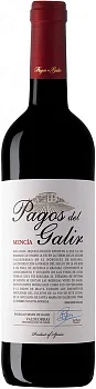 Вино Pagos de Galir  Mencia Valdeorras  DO Пагос де Галир  Менсиа Вальдеоррас  2016  750 мл
