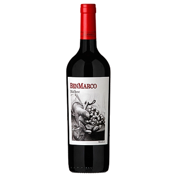Вино Dominio del Plata BenMarco  Expresivo  2018 750 мл
