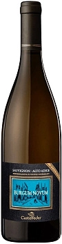 Вино Castelfeder Burgum Novum Sauvignon Riserva Alto Adige DOC  2017 750 мл