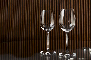 Набор из 2-х универсальных фужеров 100 Points