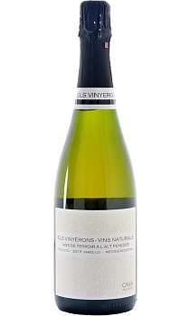 Игристое вино  Els Vinyerons Vins Naturals   Pregadeu Brut Nature  750 мл