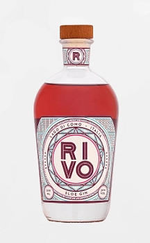 Джин Rivo Sloe Gin  500 мл