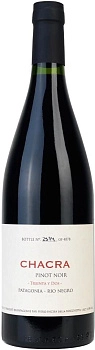 Вино Chacra  Treinta y Dos  2019 750 мл