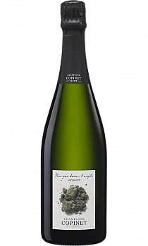 Игристое вино  Copinet Marie  NOS PAS DANS L`ARGILE    750 мл