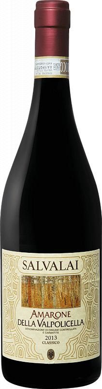 Вино Salvalai, Amarone della Valpolicella Classico DOC, Сальвалай, Амароне делла Вальполичелла Классико, 2016 750 мл