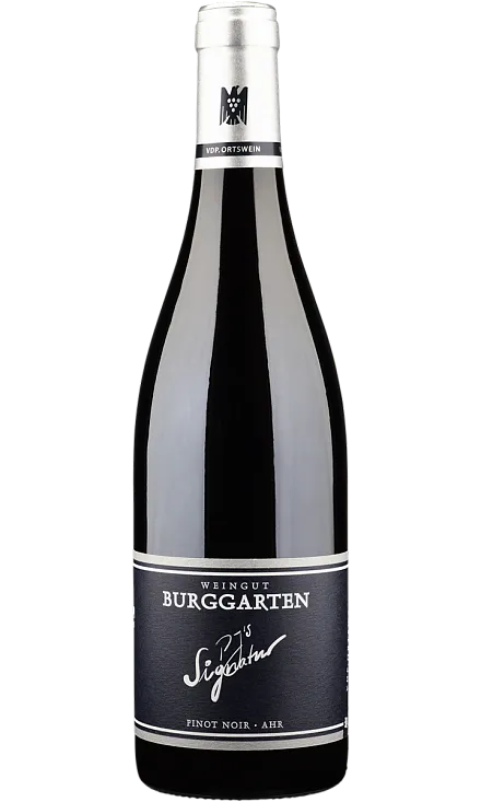Вино Burggarten Pinot Noir P.J.'s Signatur  2021  750 мл