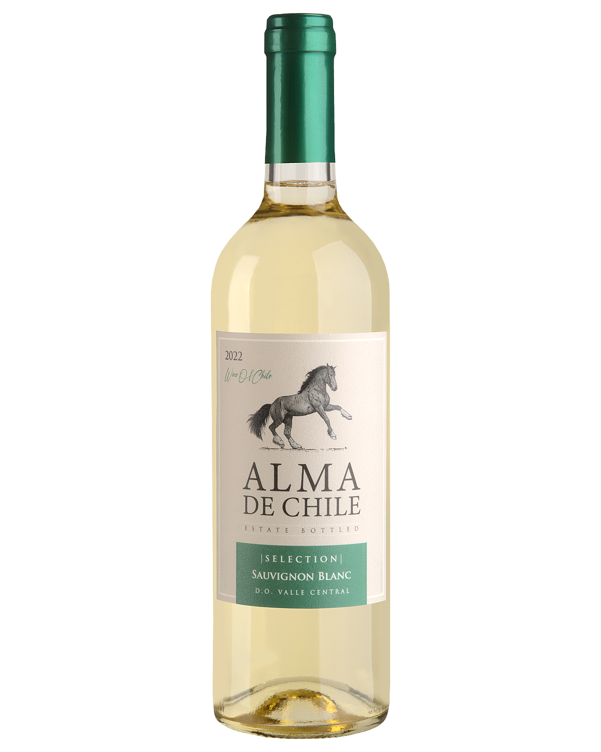Вино Alma de Chile Sauvignon Blanc  2023  750 мл
