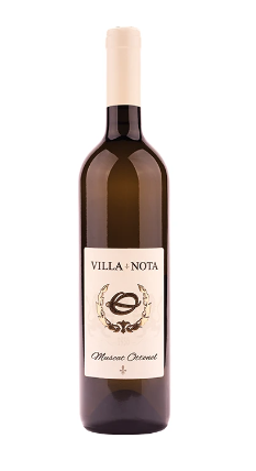 ВИНО  PIC Oplenac   Villa Nota Muscat Ottonel   750 мл
