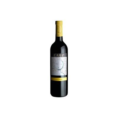 Вино Bodegas Anadas Carinena Care Chardonnay 2018 750 мл
