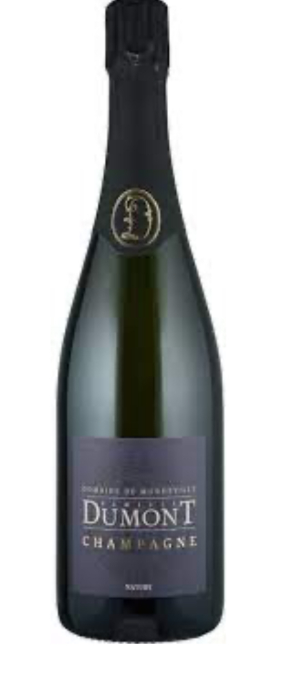 Шампанское DOMAINE DUMONT - CHAMPAGNE DE MONDEVILLE  Nature Blanc de Noirs 2019 750 мл 12,5%