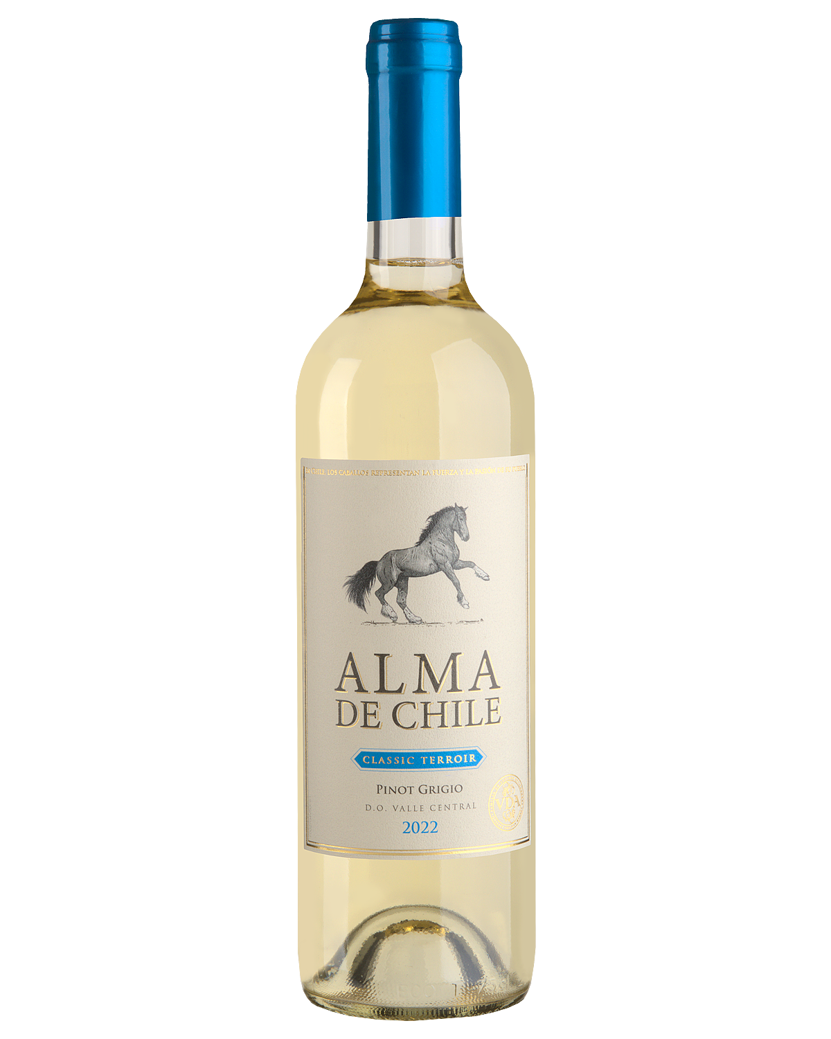 Вино Alma de Chile Pinot Grigio  2023  750 мл