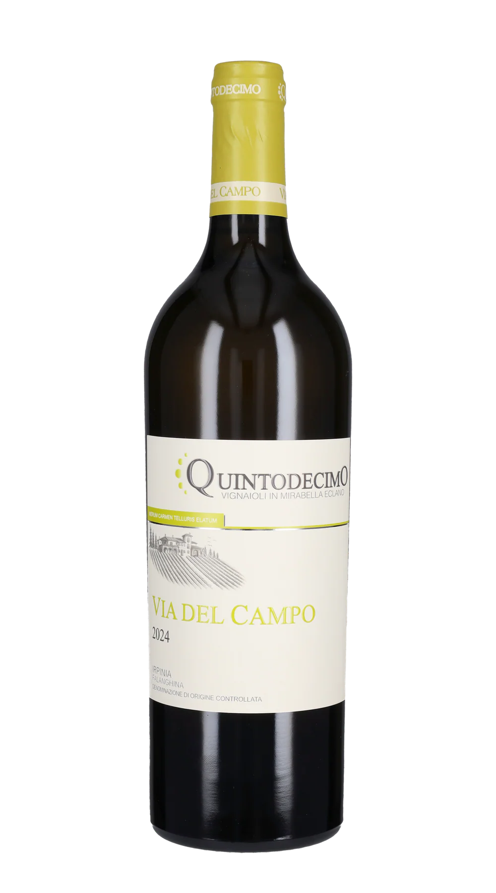 Вино Quintodecimo Via del Campo Falanghina IGT 2024  750мл