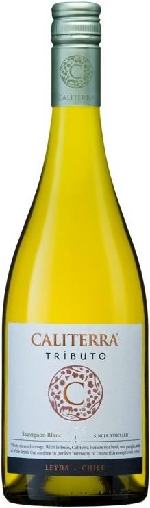 Вино Sauvignon Blanc "Tributo" DO, "Трибьюто" Совиньон Блан, 2013, 0.75 л