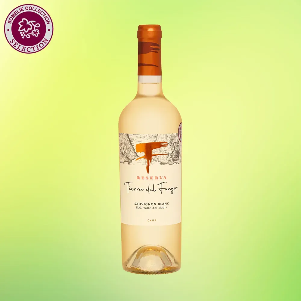 Вино Vitivinicola Cremaschi Barriga Tierra Del Fuego Reserva Sauvignon Blanc 750 мл 11%