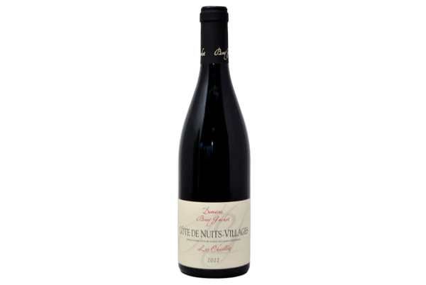Вино COTES DE NUITS VILLAGES  LES CHAILLOTS  DOMAINE BONY GACHOT  2022  750 мл