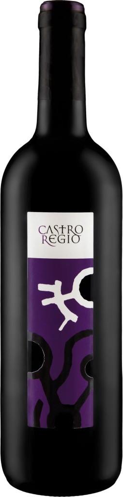Вино Castro Regio  Red Dry  750 мл