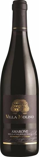 Вино Sartori Villa Molino Amarone della Valpolicella DOC Вилла Молино Амароне делла Вальполичелла 2018 750 мл  15%