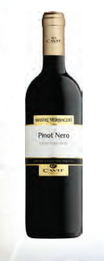 Вино  Cavit  Mastri Vernacoli Pinot Nero Кавит Мастри Вернаколи Пино Неро 2021 750 мл