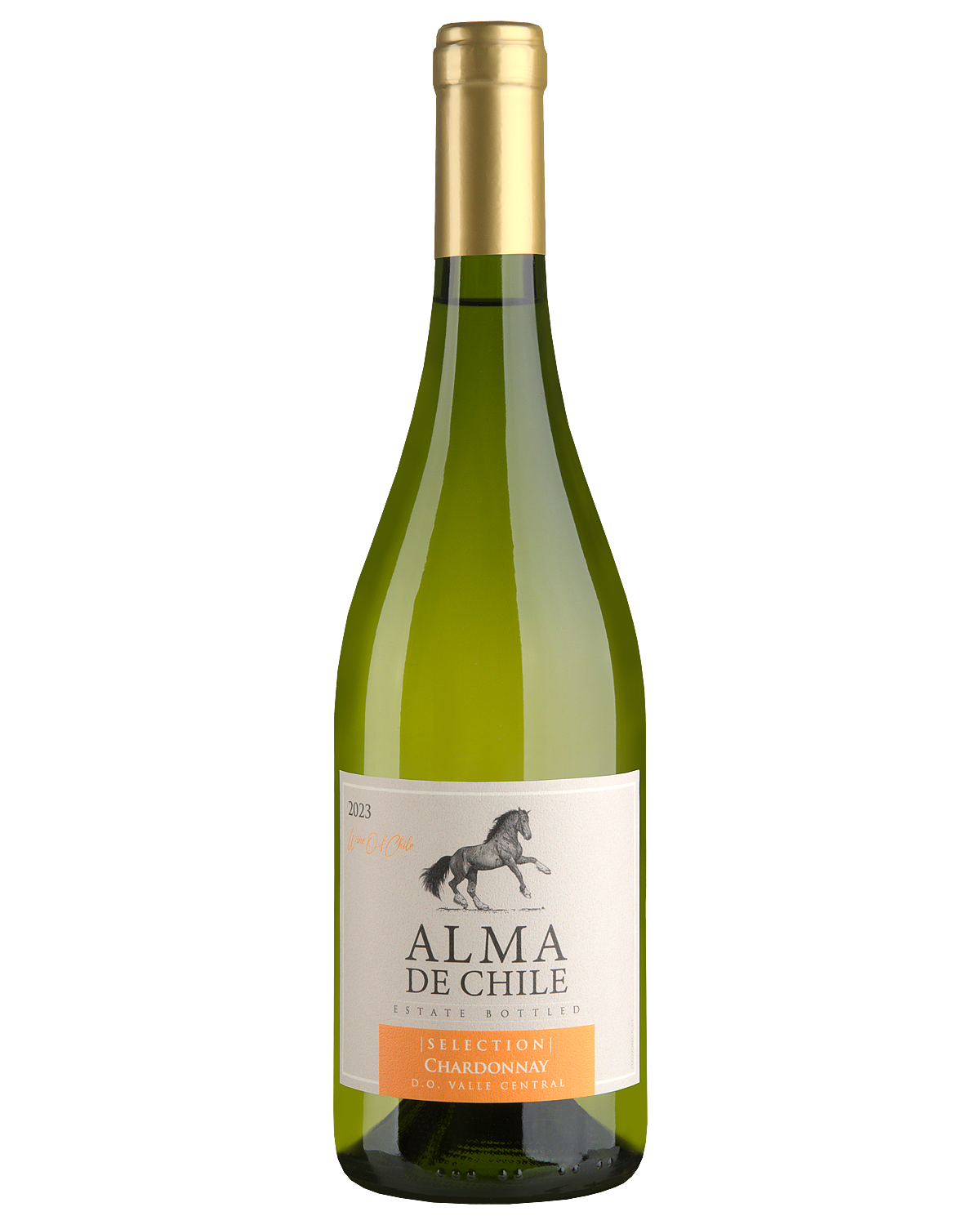 Вино Alma de Chile Chardonnay  2023  750 мл
