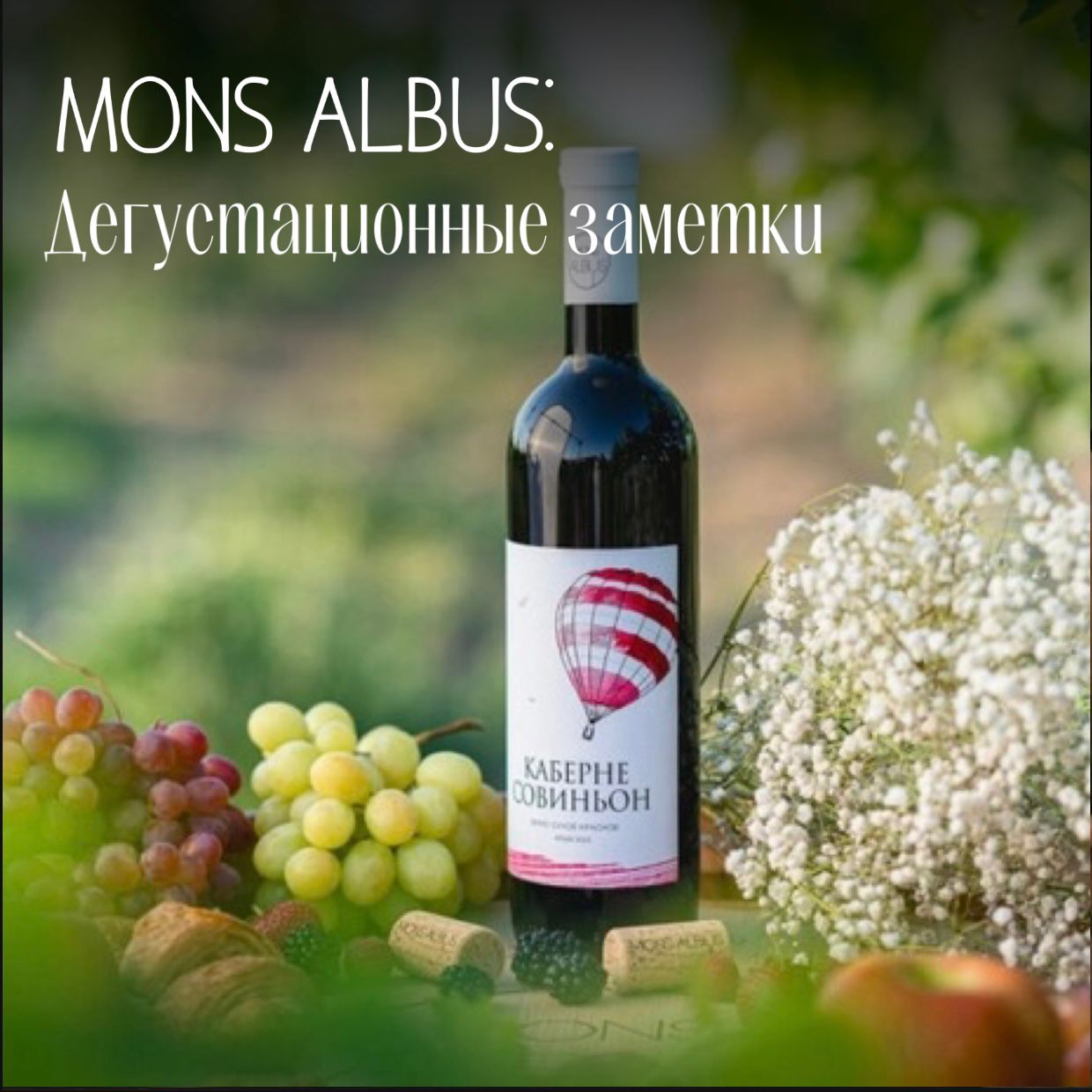 Mons Albus: Дегустационные Заметки Mons Albus: Дегустационные Заметки