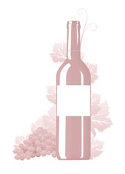 Вино Domaine Goutine AOP Saint Chinian red  2013 750 мл