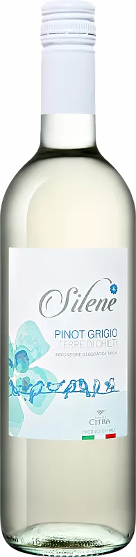 Вино   Silene Pinot Grigio Terre di Chieti IGT  Читра Силене Пино Гриджио  2021  750 мл  12,5 %